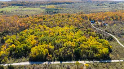 Ptlt 39 Con 25 N E, Georgian Bluffs, On N0h 2t0