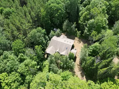 1170 Bushwolf Lake Road, Dysart Et Al, On K0m 1s0