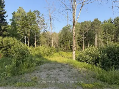 41 Mintha Street, Madawaska Valley, On K0j 1b0