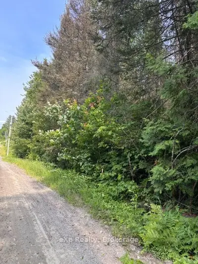 1a   Pt Lt 12 Con 2 Boundary Road, Parry Sound Remote Area, On P0a 1x0
