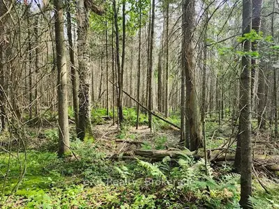 1a   Pt Lt 12 Con 2 Boundary Road, Parry Sound Remote Area, On P0a 1x0
