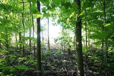Ptlt31 Pleasant Valley Road, South Dundas, On K0e 1w0