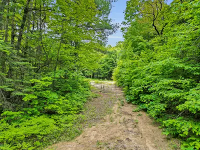 3051 Yearley Road, Huntsville, On P0a 1r0