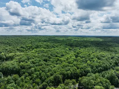 0 Kashagawigamog Lake Road, Minden Hills, On K0m 2k0