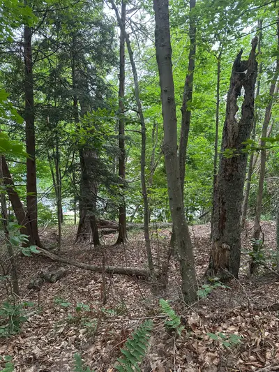 0 Silver Rock Lane, Frontenac, On K0h 2w0