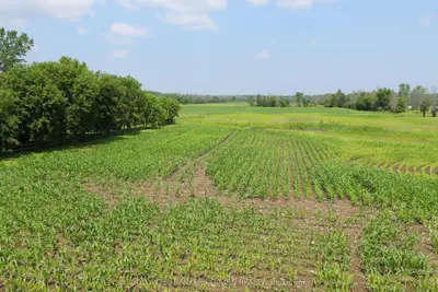 0 Nudell Bush Road, South Dundas, On K0c 1x0