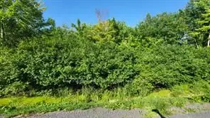 Lot 7 Plan 246 Tolmies Corners Road, North Stormont, On K0c 1v0