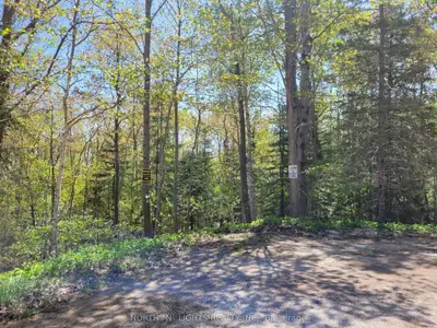 Lot 38 E Harkins Road E, Northern Bruce Peninsula, On N0h 1w0