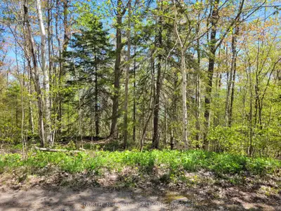 Pt Lot 16 Con 38 Harkins Rd Road E, Northern Bruce Peninsula, On N0n 1w0