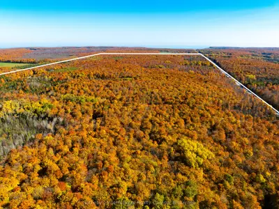 589141 Grey Rd 19 Road, Blue Mountains, On N0h 2e0