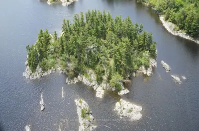 Detached in French River