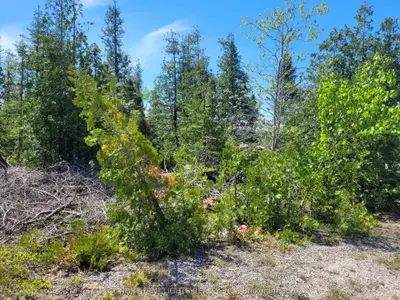 Pt Lot 26 Con 8 Wbr Sadler Creek Road E, Northern Bruce Peninsula, On N0h 1w0