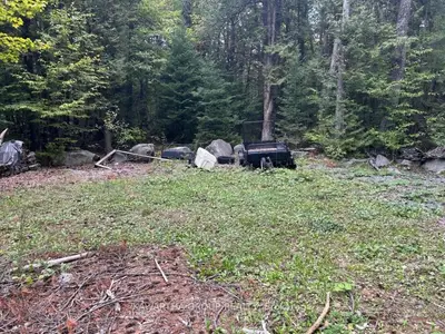 176 Base Line Road, Kawartha Lakes, On K0m 1k0