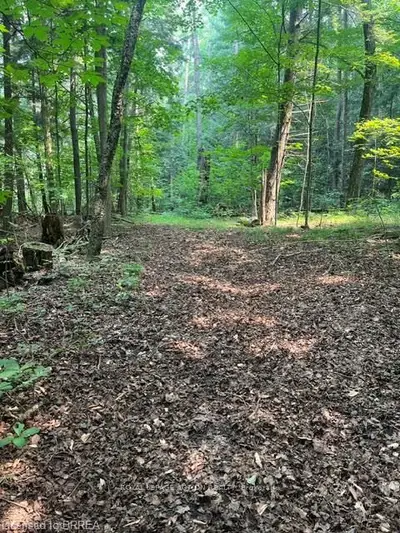 Vacant Land in Brant