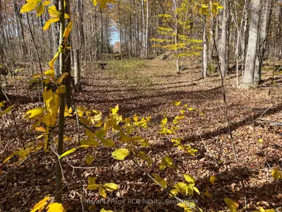 Vacant Land in Georgian Bluffs