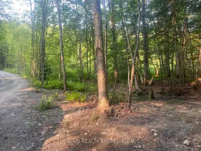 1310 Camel Lake Road Lot # 7, Muskoka Lakes, On P1l 1x4