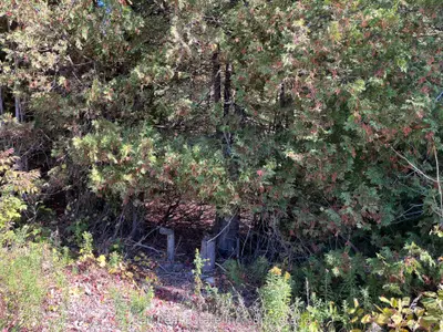 0 Koa Road, Marmora And Lake, On K0k 2m0