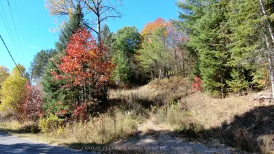 178 Gaebel Road, Bancroft, On K0l 1c0