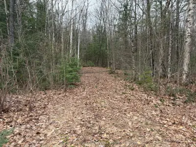 0 Stoney Road, Ryerson, On P0a 1c0