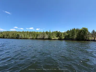 575 Grand Island, Kawartha Lakes, On K0m 1k0