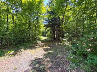 17 White Beaver Trail, Mcdougall, On P2a 2w7