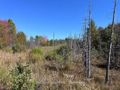 00 Koa Road, Marmora And Lake, On K0k 2m0