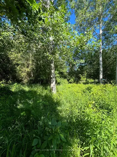 37 And 35a Cloverloft Court, Stittsville - Munster - Richmond, On K2s 1t3