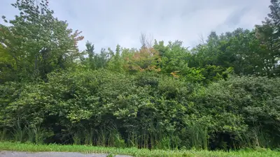 Lot 6 Tolmies Corners Road, North Stormont, On K0c 1v0