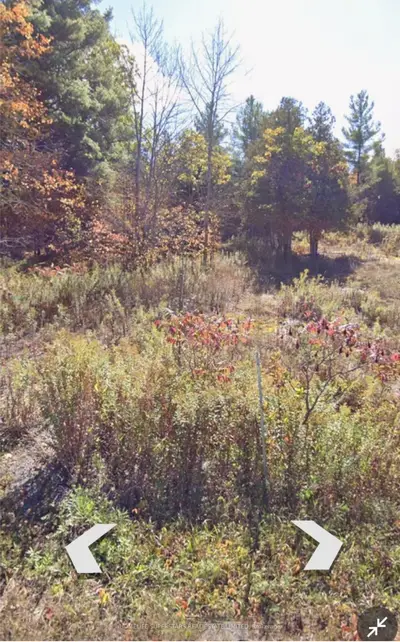 82 Glen Ridge Road, Marmora And Lake, On K0k 2m0
