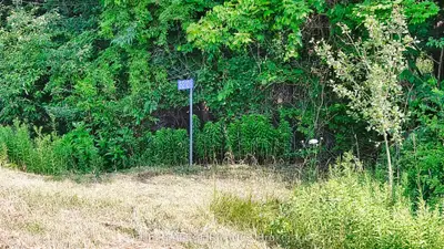 3210 Old Dexter Line, Central Elgin, On N0l 2h0