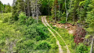 1011 Mcgrath Road, Bonnechere Valley, On K0j 1t0