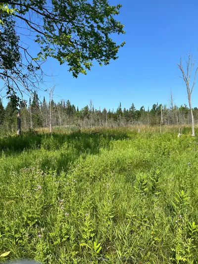 00 Highway 7, Marmora And Lake, On K0k 2m0