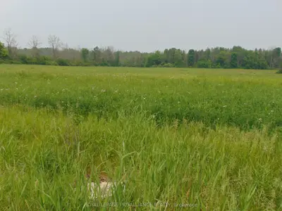 00 Charleville Road N, Augusta, On K0e 1t0