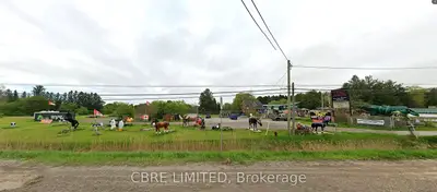 823 Highway 6, Hamilton, On L0r 1v0