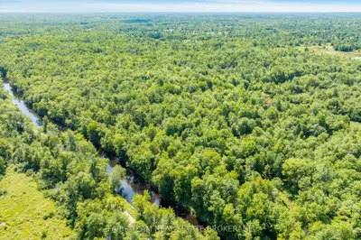 Part Lot 28 Concession 12 Black River Road, Kawartha Lakes, On L0k 1w0