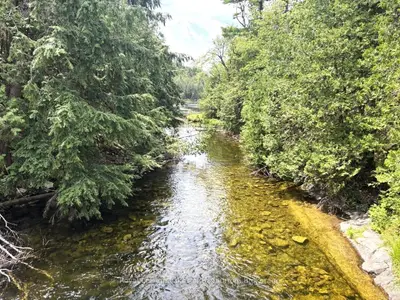 Beside 1456 Crystal Lake Road, Trent Lakes, On K0m 2a0