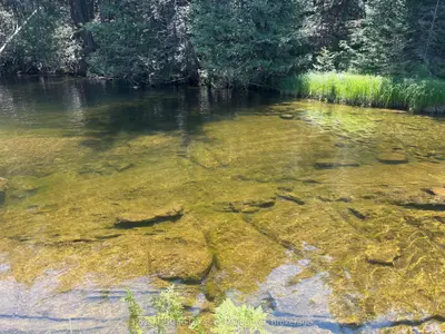 Beside 1456 Crystal Lake Road, Trent Lakes, On K0m 2a0