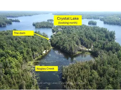 Beside 1456 Crystal Lake Road, Trent Lakes, On K0m 2a0