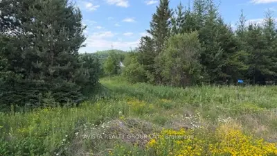 6525 Hwy 61, Neebing, On P7l 0c8
