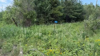6525 Hwy 61, Neebing, On P7l 0c8