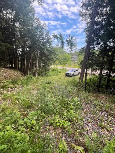 1149 Golden Beach Road, Bracebridge, On P1l 1w8