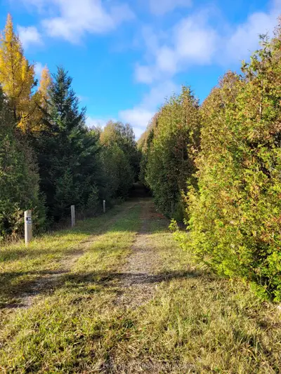 Pt Lot 88 Hwy 10 Highway, West Grey, On N0c 1h0