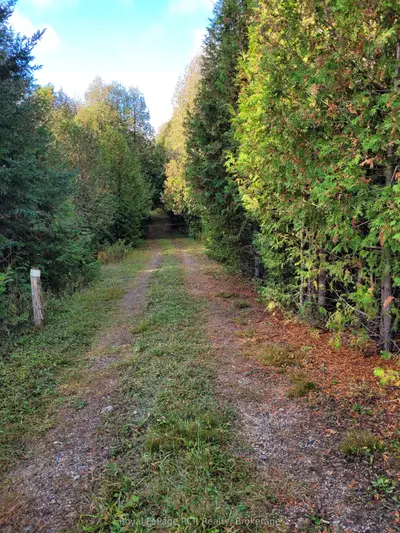 Pt Lot 88 Hwy 10 Highway, West Grey, On N0c 1h0