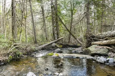 0 Clydesdale Road, North Kawartha, On K0l 1a0