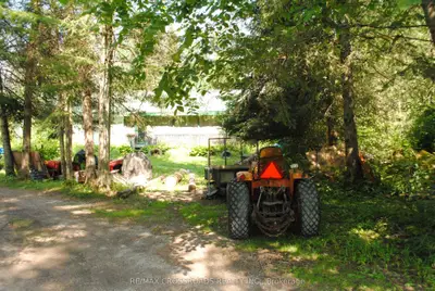 60 Brook Road, Kawartha Lakes, On K0m 1n0