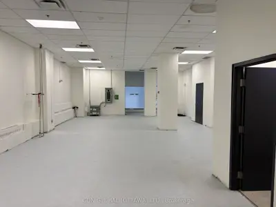 264 Albert Street, Ottawa Centre, On K1p 6e6