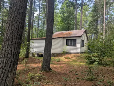 22 Swan Lane, Madawaska Valley, On K0j 1b0