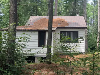 22 Swan Lane, Madawaska Valley, On K0j 1b0