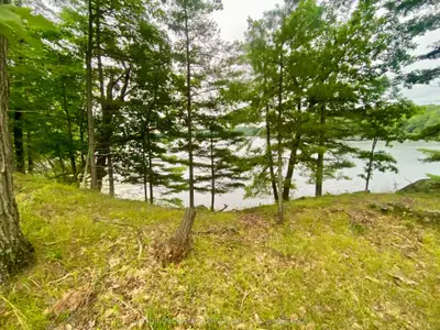 3025 Old Fourteen Island Lane, Frontenac, On K0h 2w0