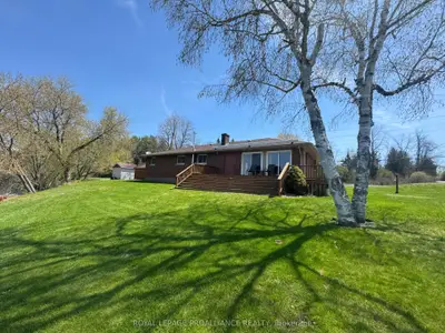 81 Scuttlehole Road, Belleville, On K0k 2v0